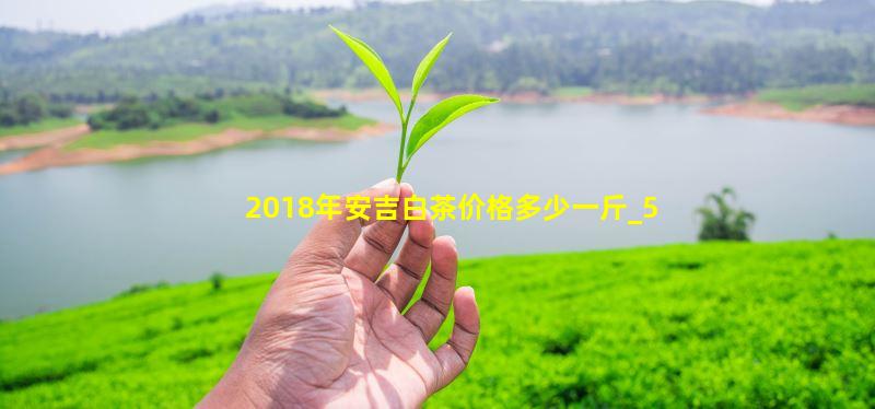 2018安吉白茶多少钱一斤