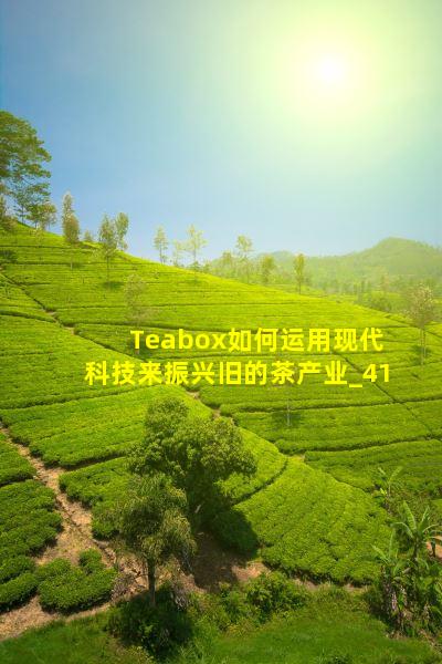 Teabox办公室