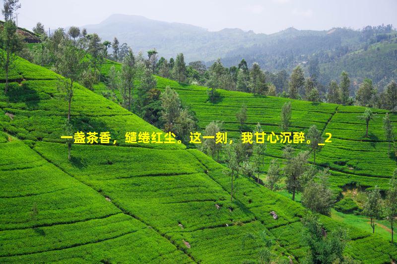 QQ截图20140821152512