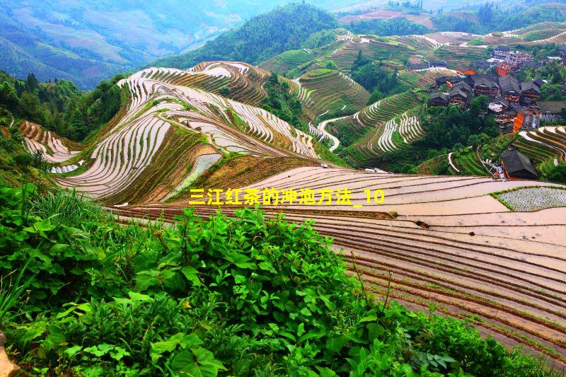 三江红茶的冲泡方法
