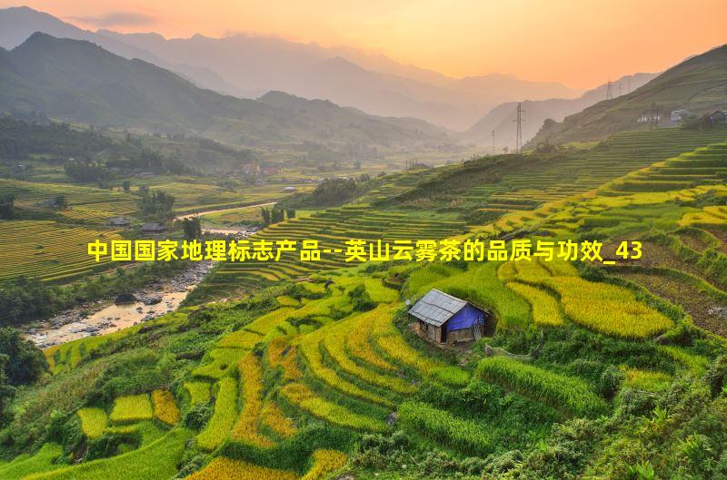 中国国家地理标志产品--英山云雾茶的品质与功效