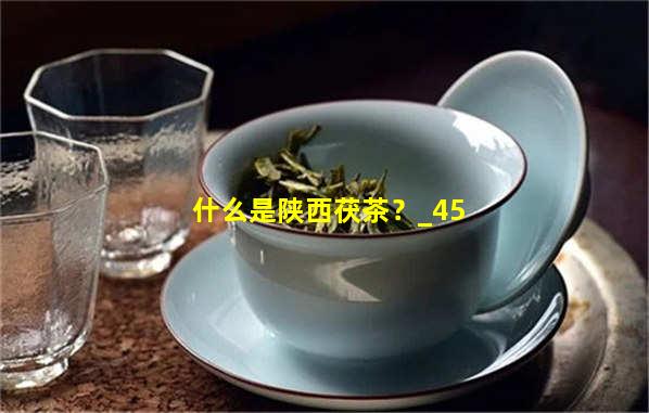 什么是陕西茯茶？