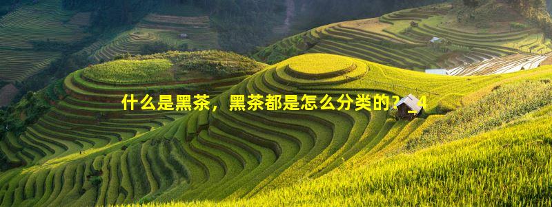 什么是黑茶，黑茶都是怎么分类的？