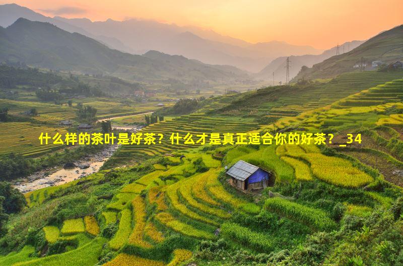 什么样的茶叶是好茶？什么才是真正适合你的好茶？
