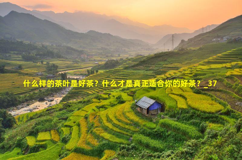 什么样的茶叶是好茶？什么才是真正适合你的好茶？