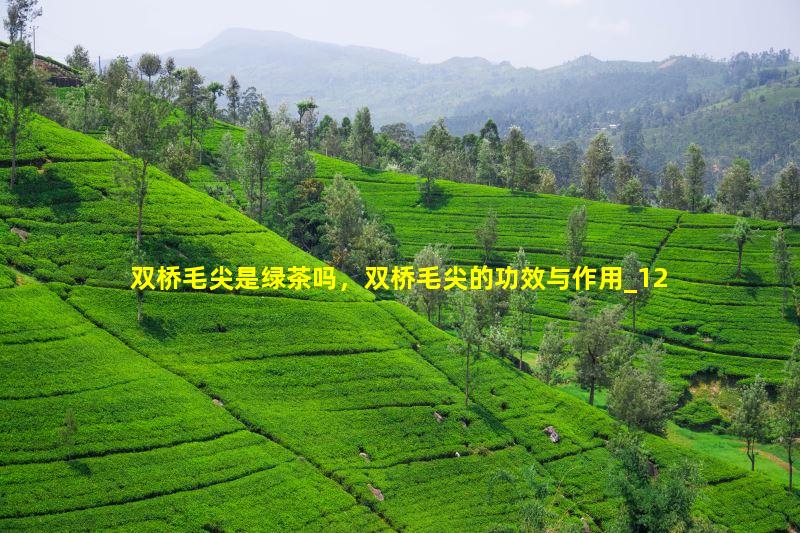 双桥毛尖是绿茶吗，双桥毛尖的功效与作用