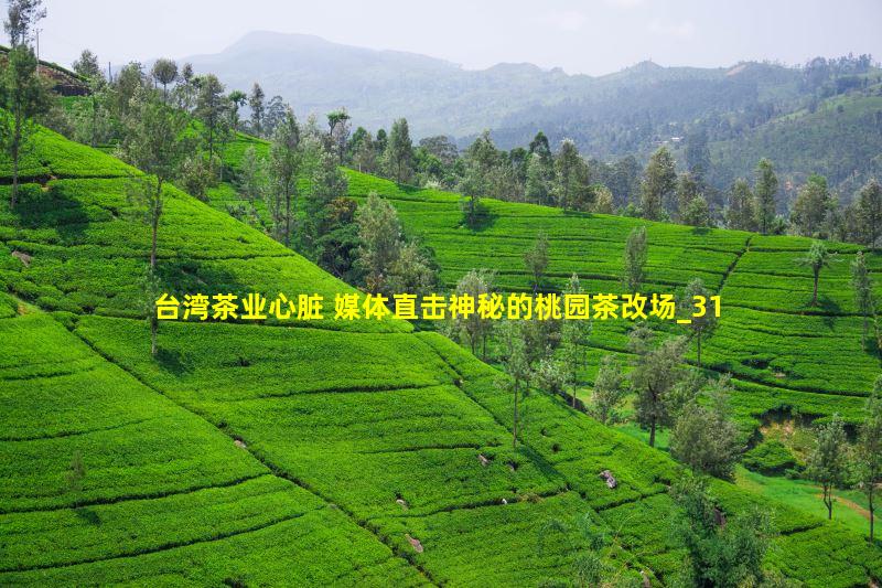 位于桃园杨梅埔心的台湾省茶业改良场，它的标志就是一片茶叶