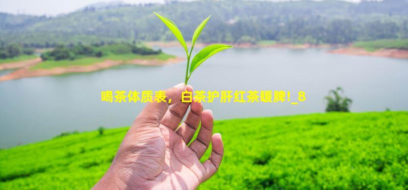 喝茶体质表，白茶护肝红茶暖脾!