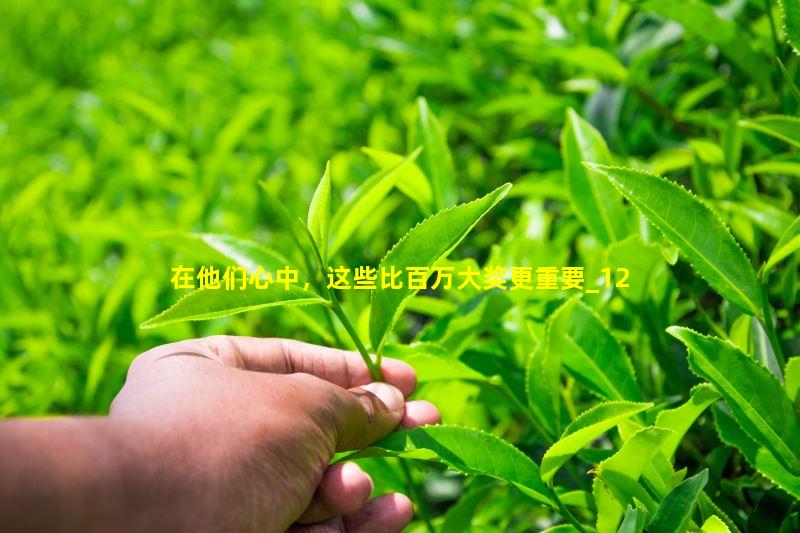 全民炼茶季——品陈升普洱，赢百万福元昌