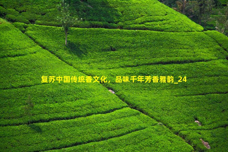 QQ截图20150204173946