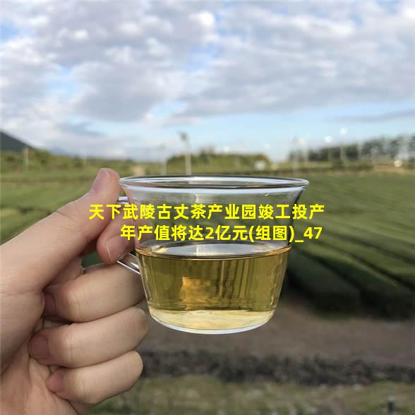 竣工仪式现场，当地茶农背着茶叶进入厂房(记者