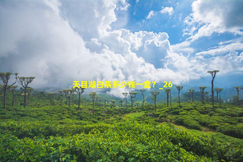 天目湖白茶多少钱一盒？
