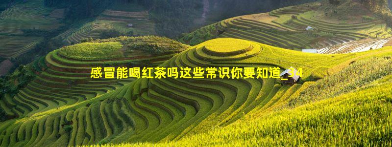 感冒能喝红茶吗这些常识你要知道