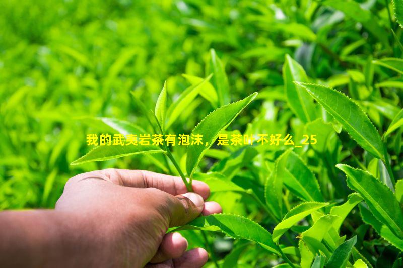 我的武夷岩茶有泡沫，是茶叶不好么