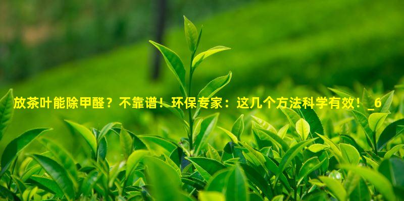 放茶叶能除甲醛？不靠谱！环保专家：这几个方法科学有效！
