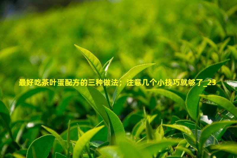 最好吃茶叶蛋配方的三种做法；注意几个小技巧就够了
