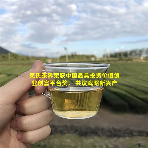 ç¬¬ä¸‰å±Šä¸­å›½æ–°å…´äº§ä¸šå›½å®¶æˆ˜ç•¥åŒ—äº¬è®ºå›æš¨2018â€œæœ€å…·ç«žäº‰åŠ›å“ç‰Œâ€ç”µè§†ç››å…¸