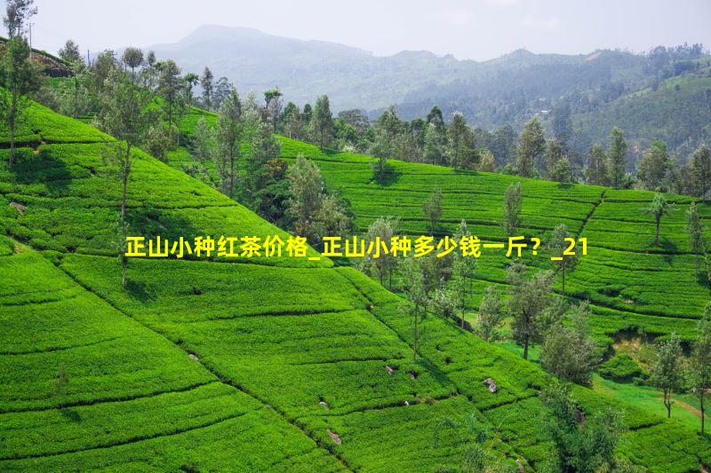 正山小种红茶价格