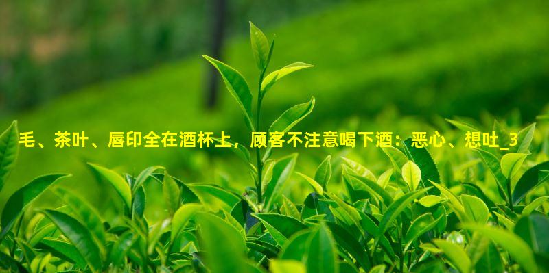 毛、茶叶、唇印全在酒杯上，顾客不注意喝下酒：恶心、想吐