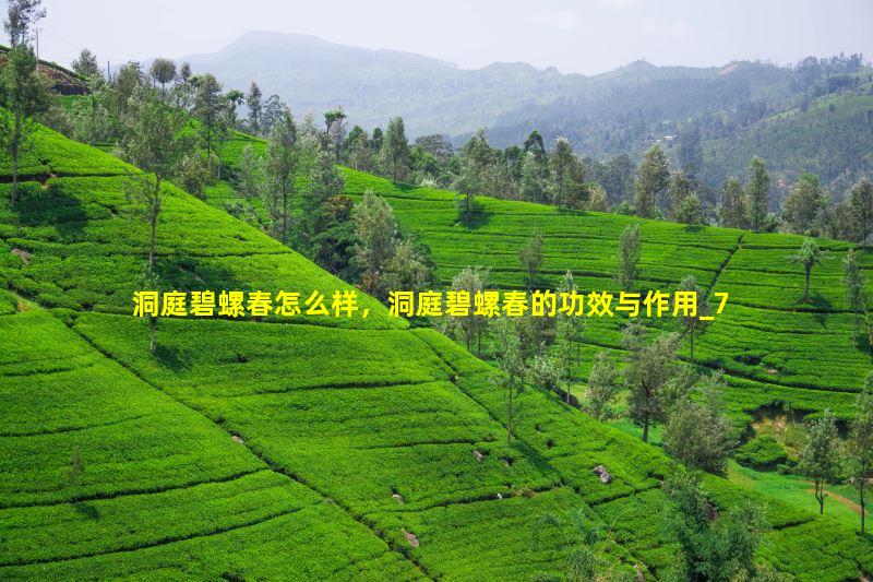 洞庭碧螺春怎么样，洞庭碧螺春的功效与作用