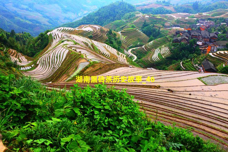 湖南黑砖茶历史故事