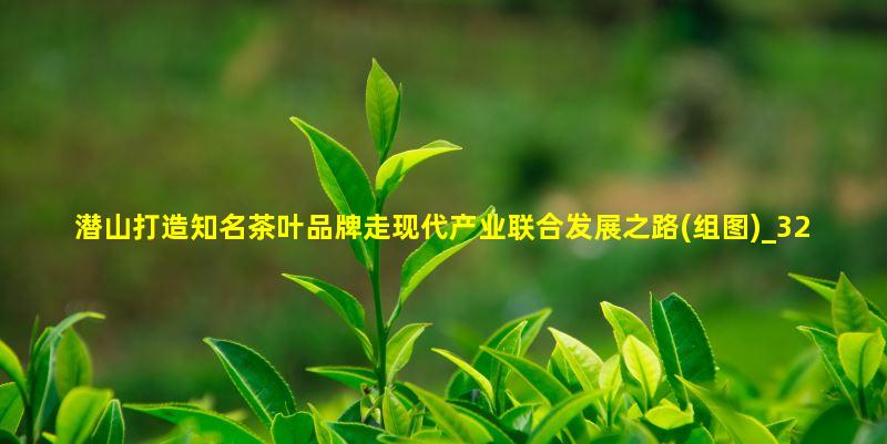 潜山打造知名茶叶品牌走现代产业联合发展之路