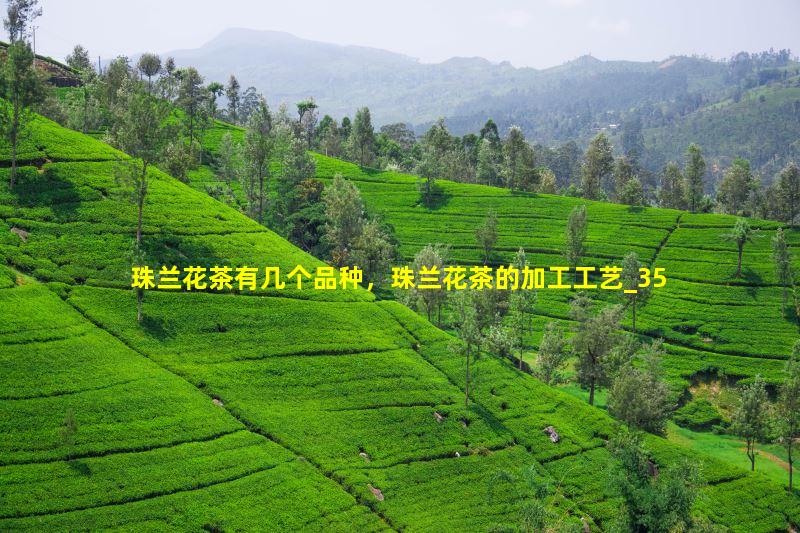 珠兰花茶有几个品种，珠兰花茶的加工工艺