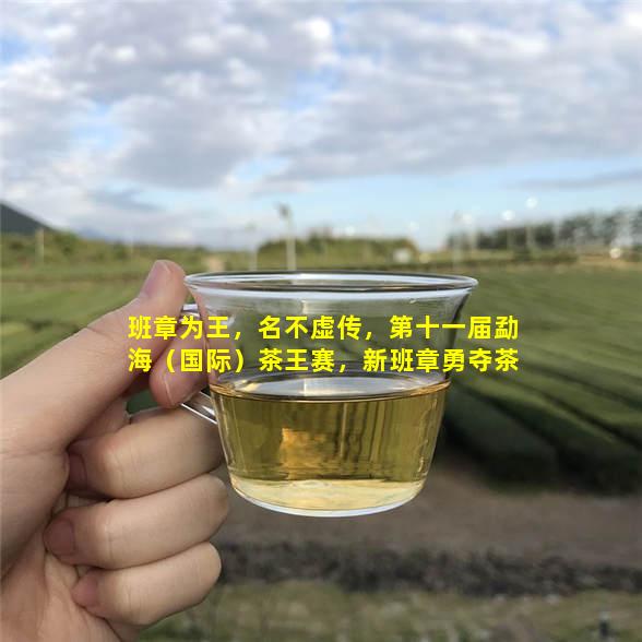 图片7