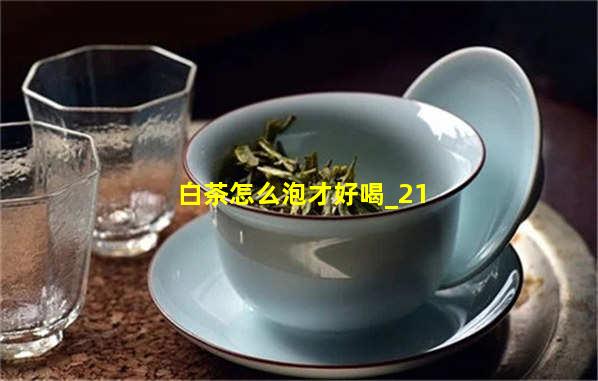 白茶怎么泡才好喝