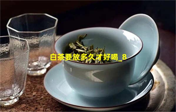 白茶存放多久才好喝