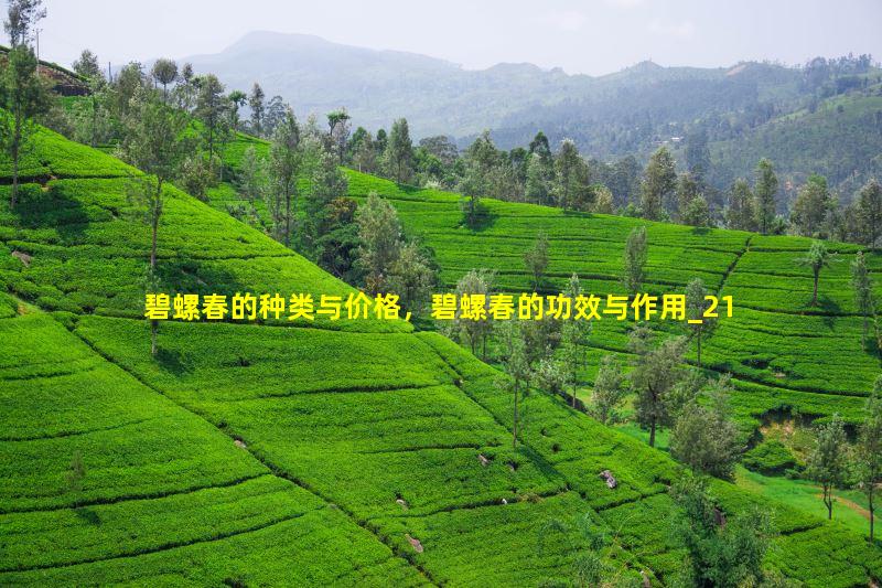 碧螺春的种类与价格，碧螺春的功效与作用