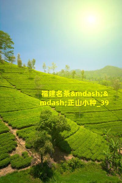 福建名茶——正山小种