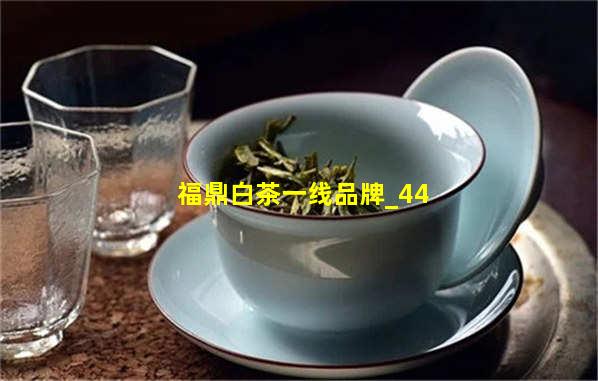 福鼎白茶一线品牌