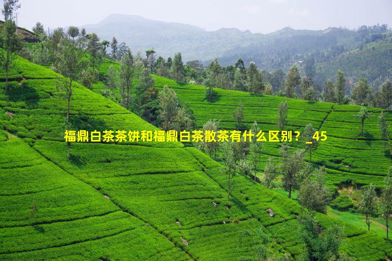 福鼎白茶茶饼和福鼎白茶散茶有什么区别？