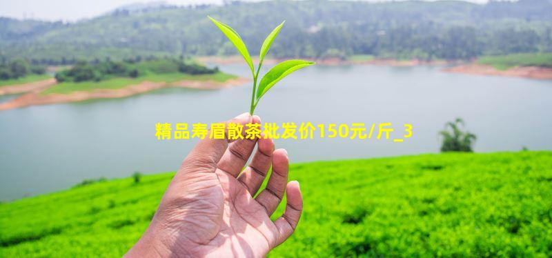 精品寿眉散茶批发价180元/斤