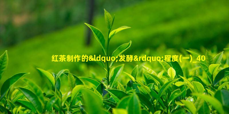 红茶制作的“发酵”程度(一)