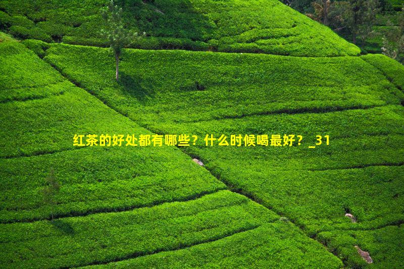 红茶的好处都有哪些？什么时候喝最好？
