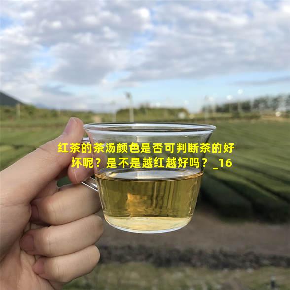 红茶的茶汤颜色是否可判断茶的好坏呢？是不是越红越好吗？