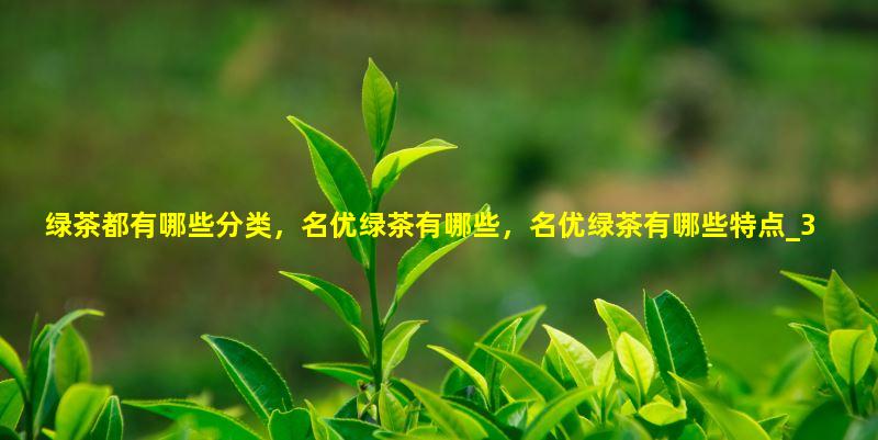 绿茶都有哪些分类，名优绿茶有哪些，名优绿茶有哪些特点
