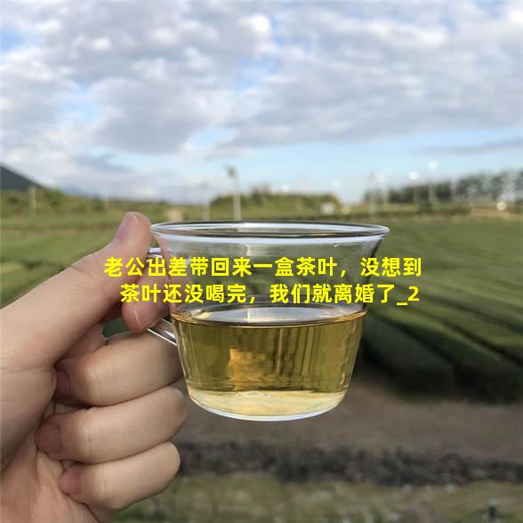 老公出差带回来一盒茶叶，没想到茶叶还没喝完，我们就离婚了
