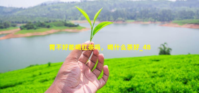胃不好能喝红茶吗，喝什么茶好