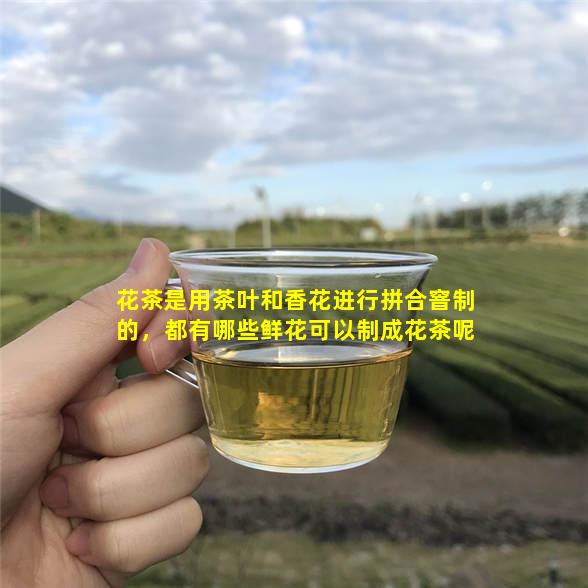 花茶是用茶叶和香花进行拼合窨制的，都有哪些鲜花可以制成花茶呢？