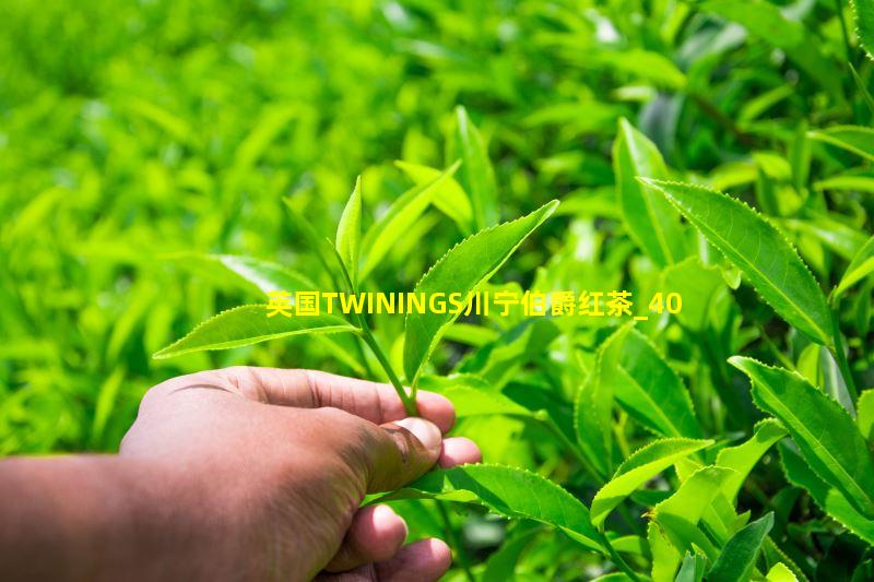 英国TWININGS川宁伯爵红茶