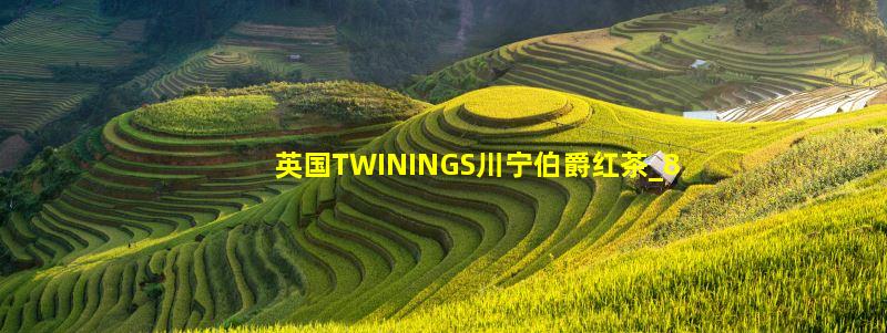 英国TWININGS川宁伯爵红茶