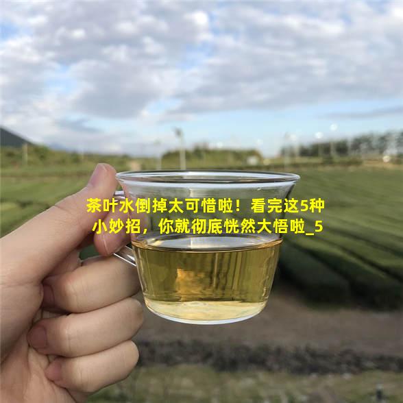 茶叶水倒掉太可惜啦！看完这5种小妙招，你就彻底恍然大悟啦