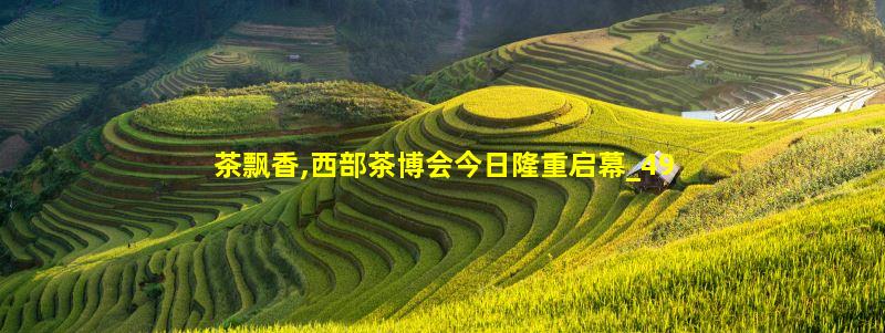 茶行业媒体记者云集西部茶博会报道