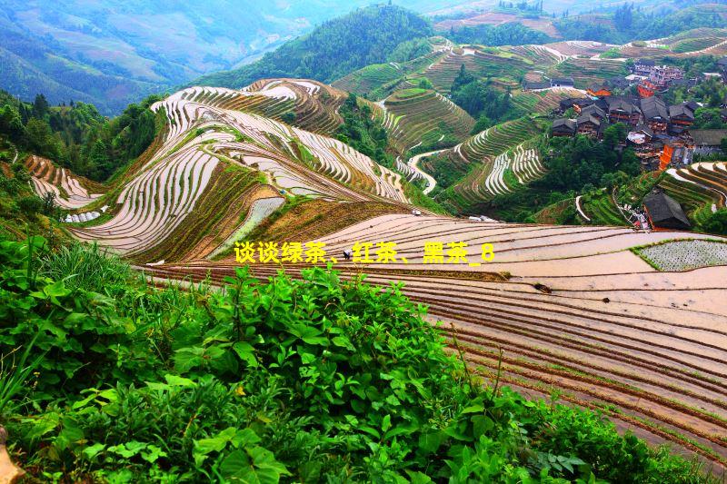 谈谈绿茶、红茶、黑茶