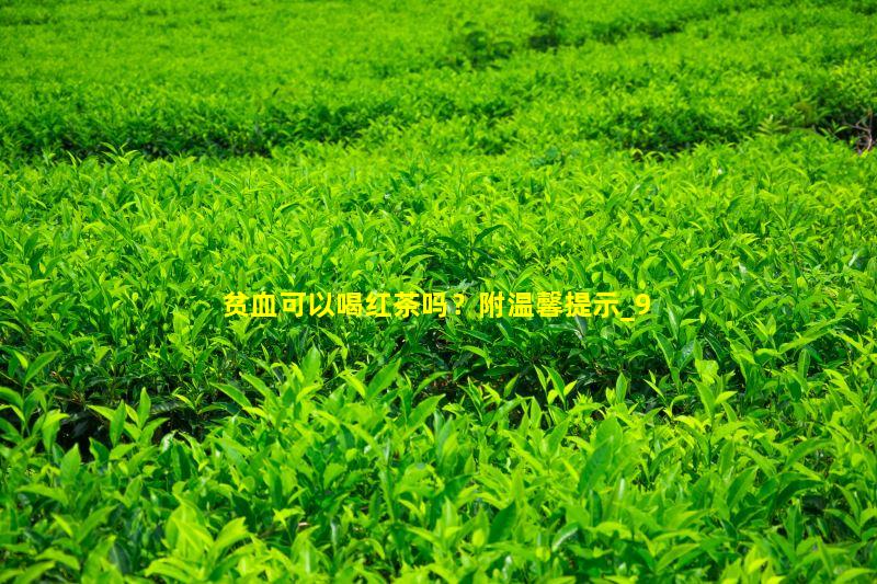贫血可以喝红茶吗？附温馨提示