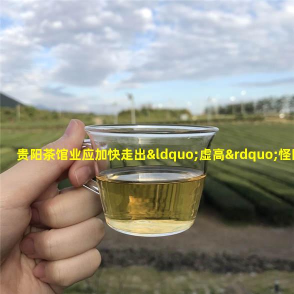 贵阳茶馆业应加快走出“虚高”怪圈