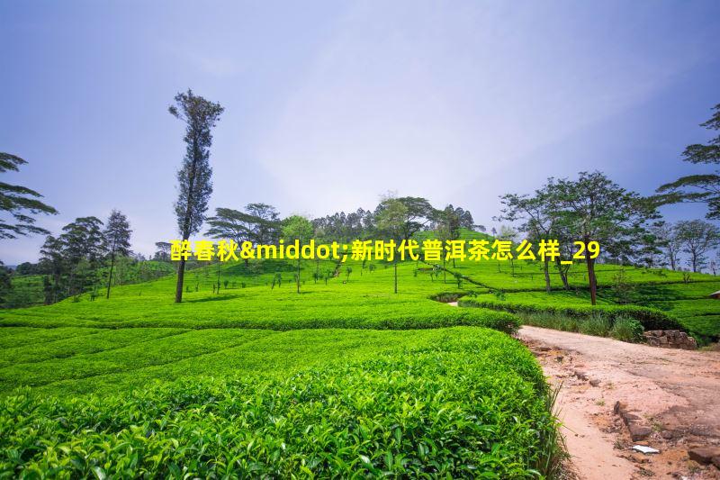 醉春秋·新时代普洱茶怎么样